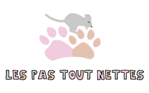 Les Pas Tout Nettes