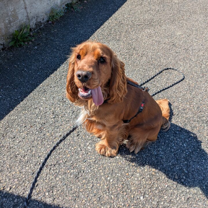 Skye