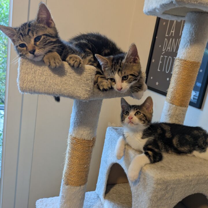 Binouze